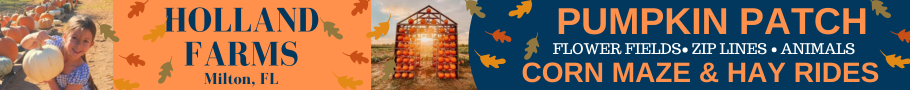 Holland Farms